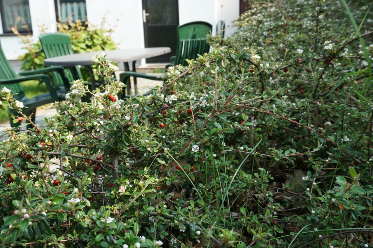 Ferienwohnung Czornebohblick Kubschutz Exterior foto